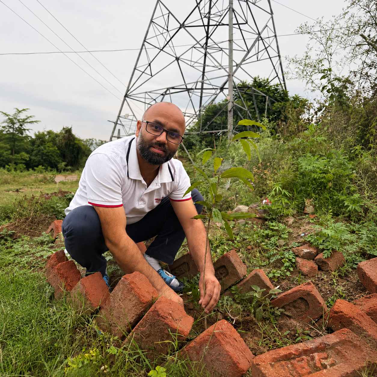 CEO Planting Tree